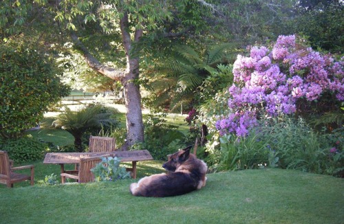 Kinloch Bed & Breakfast | TWYNHAM at Kinloch