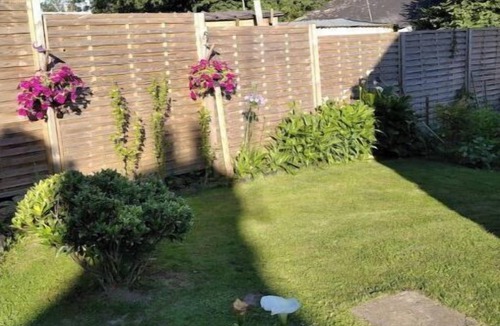 Plaudren House | TY BILY country house