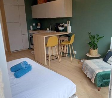 Moulin du Comte Apartment | Ty Jolie Super Grand Studio avec Parking et Terrasse