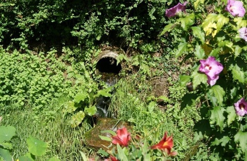 Quistinic House | Ty Louise - QUISTINIC