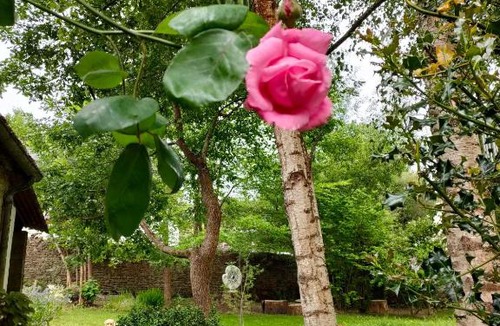 Huelgoat Bed & Breakfast | Ty Merzhin