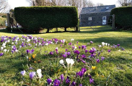 St Brides House | Ty r Pwmp