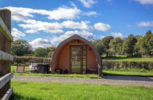 Bethania Cottage | Ty Twt Teifi - UK31917