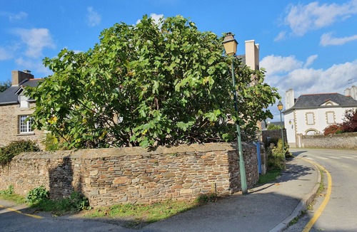 Cancale House | Typical house in Cancale