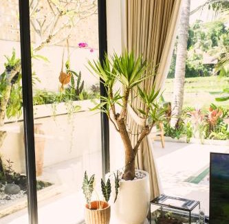 Pejeng Apartment | Ubud Dzen Villas
