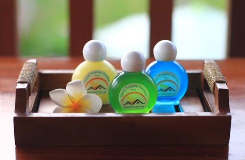 Pengosekan Hotel | Ubud Tropical Garden