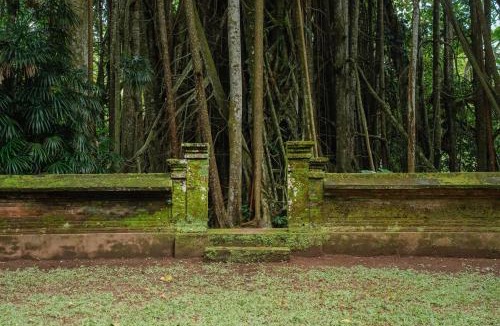 Payangan House | Udaka Retreat