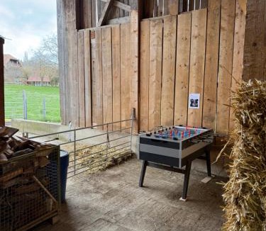 Meikirch House | Uelis-Stöckli-Gästezimmer auf Bauernhof mit Wellness, Billiard und Alpakatrekking