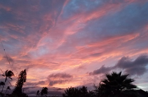 Kahului House | ULA Deluxe Camper