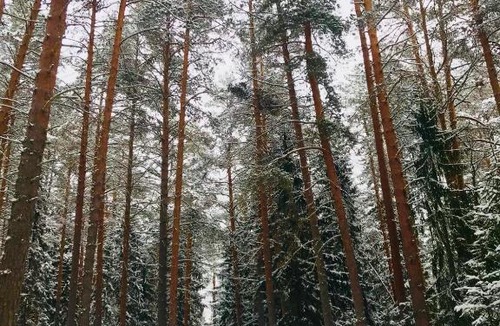 Uleyma House | Uleyma Holiday Home