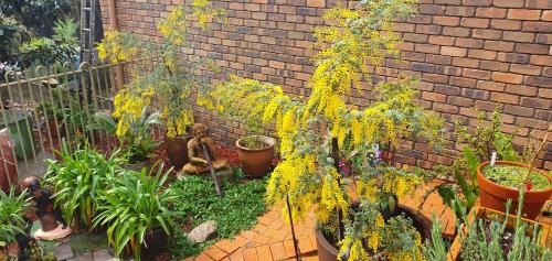 South Durras Ski Chalet | Ultima Thule Studio, South Durras