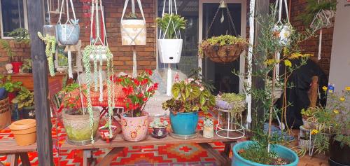 South Durras Ski Chalet | Ultima Thule Studio, South Durras