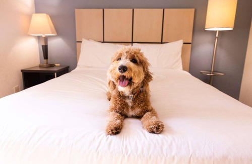 Brentwood House | Ultimate Brentwood Escape! Fully-equipped Kitchen, Pet-friendly Property!