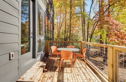 Pisgah Forest Apartment | Ultimate Relaxation & Adventure: Home Near Brevard