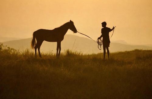Sumba Other | Ulu Hati Hills Luxury Tent