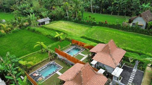 Sebatu Villa | Umah Jati Villa