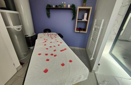 Meusnes House | Un amour passionnel,love room,15 min du zoo,balnéo XL privatisée et disponible toute l'année ,piscine couverte et chauffée d'avril à fin septembre à partager avec d'autres logements et elle est privatisée de 20h à 22h