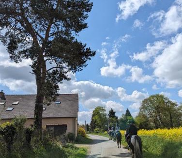 Cardroc House | Un cadre fleuri
