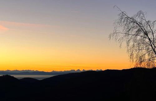 Linthal Apartment | Un coin de montagne