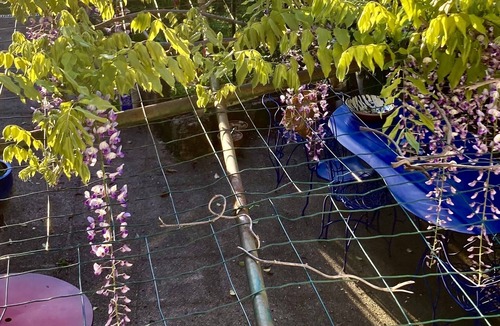 Aigues-Vives House | Un Mazet et sa piscine à la Campagne Gardoise