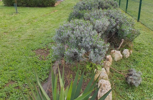 Mauzac House | Un p'tit coin tranquille