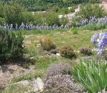 Orpierre Apartment | Un petit coin de paradis