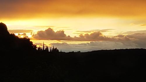 Saint-Pierre-des-Champs House | Un petit nid dans la garrigue