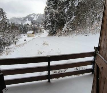 Boutx Ski Chalet | Un refuge chaleureux au cœur du Mourtis