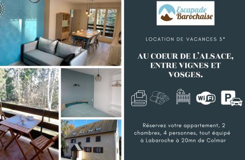 Labaroche Apartment | Un séjour ressourçant en Alsace entre vignes et montagnes l'Escapade Barochaise à 20mn de Colmar