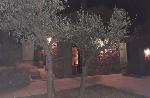 Cabasse House | Under the olive trees - Cabasse