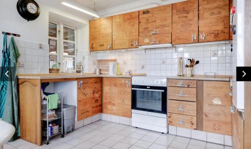 Aeroskobing House | Under the Tree