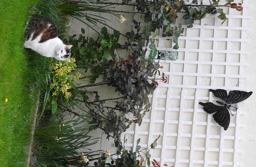 Chambly House | Une belle chambre, lit double.