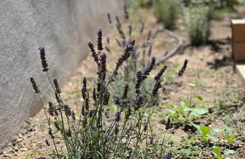 Puyvert House | Une nuit en Luberon et SPA