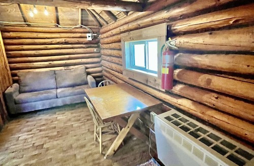 Sioux Narrows Nestor Falls Cabin | Unique 1929 Lakeside Cabin with shared hot tub and sauna!