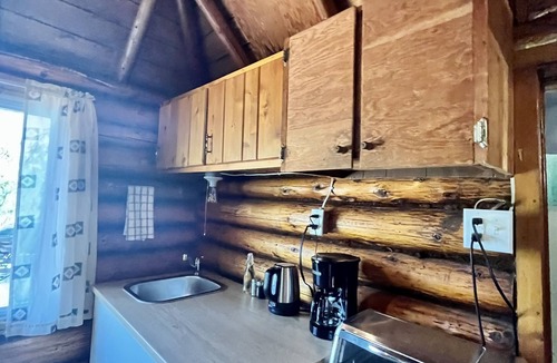 Sioux Narrows Nestor Falls Cabin | Unique 1929 Lakeside Cabin with shared hot tub and sauna!