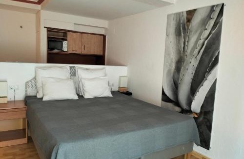 Torrevieja Apartment | Unique Apartahotel 4-3