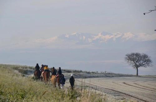 Vic-le-Comte Apartment | Unique, Chambre 2,centre équestre & snacks