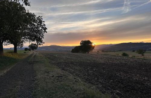 Vic-le-Comte Apartment | Unique, Chambre 2,centre équestre & snacks