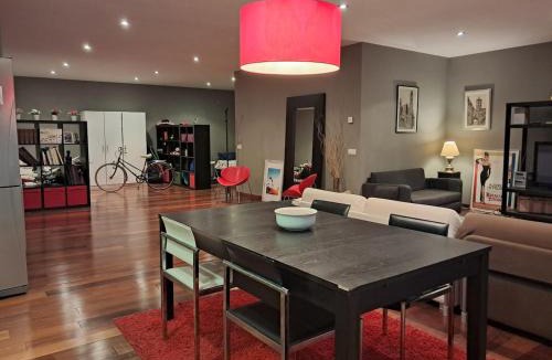 Sant Joan de Les Abadesses Apartment | Unique and special loft