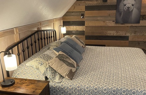 Lincoln Other | Unique Experience on a Working Alpacas Ranch.