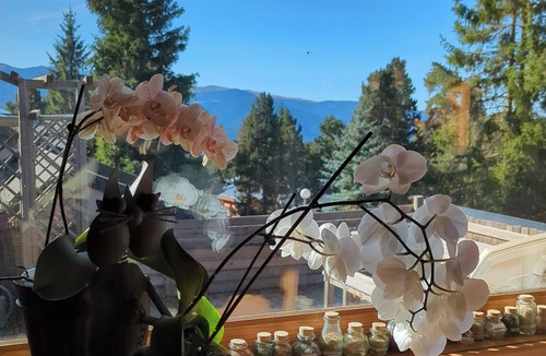 Pyrenees 2000 Ski Chalet | Unique family Chalet - Bolquère