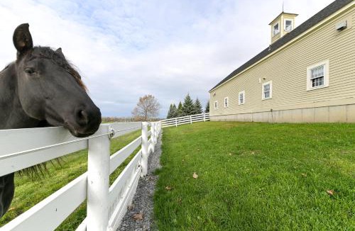 Geneva House | Unique Finger Lakes Converted Horse Barn w/Patio!