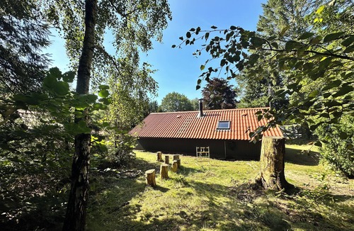 Ansager Cabin | Unique forest cabin by the lake | Near Legoland & Lalandia