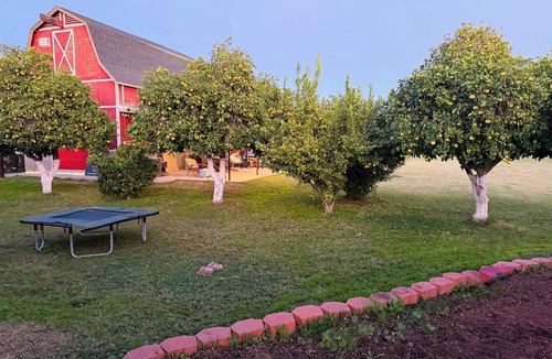 Chandler Heights Citrus House | Unique Glamping Airstream in Grapefruit Orchard