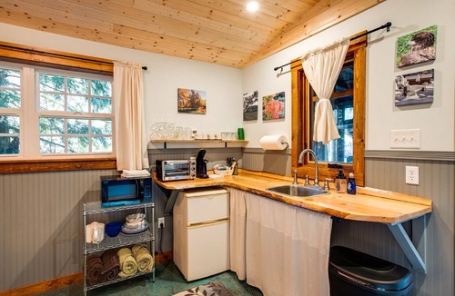 Maple Falls Cabin | Unique Glamping Experience, Pet Friendly, Sleeps 2