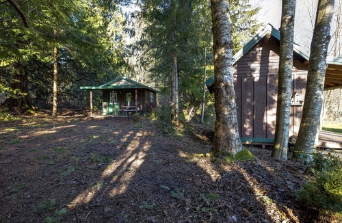 Maple Falls Cabin | Unique Glamping Experience, Pet Friendly, Sleeps 2