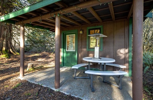 Maple Falls Cabin | Unique Glamping Experience, Pet Friendly, Sleeps 2