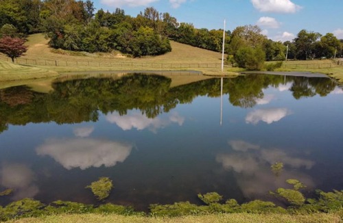 Belfast Villa | Unique home on a beautiful ranch w/ stocked pond