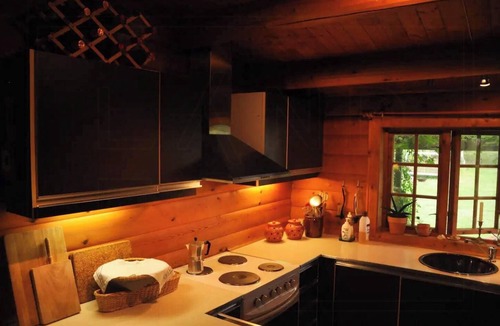 Ikast-Brande Municipality House | Unique log cabin in quiet forest