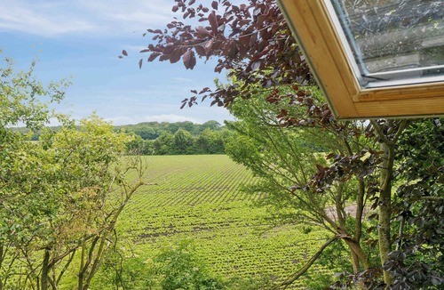 Vesterborg House | Unique private idyll